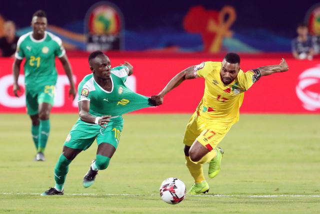 动皮